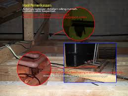 Halau lipas dalam kereta tanpa guna ubat lipas. Kawalan Serangga Bagaimana Syarikat Pest Control Mengawal Dan Menghalau Kelawar