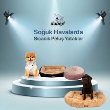 Petihtiyac Adli Kullanicinin Kedi Urunleri Panosundaki Pin 2020 Kedi Urunler Kopek