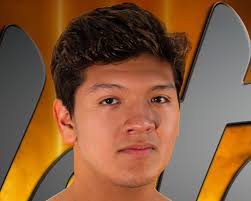 Boys swimming and diving: See the Greater Lansing Dream Team, all-area