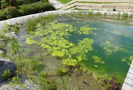 Walking on moonlight (new summer mix) Algenfreier Gartenteich Em Chiemgau