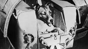 5 Hal Aneh yang Pernah Ditemukan di Luar Angkasa, Percaya atau Tidak? - Boombastis