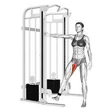 Details zu fitness yoga pilates ring übung kreis inneren oberschenkel übung fitness #innererfriedenzitate #innererfrieden #wohnzimmer. Innere Oberschenkel Ubungen Top 5 Bilder Videos