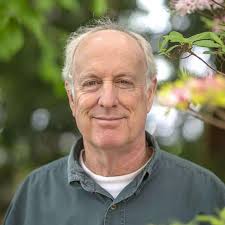 Chaos polyculture garden after lawn removal