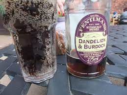 Bring burdock, dandelion, sarsaparilla, yellow dock root. Dandelion And Burdock Wikipedia