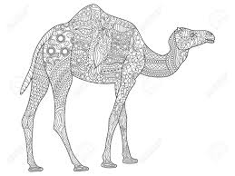 Check spelling or type a new query. Slim Slots Clipart Camel Coloring Page