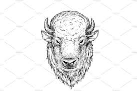 Buffalo Bison Bull Graphic Head Bison Art Bison Tattoo Buffalo Art