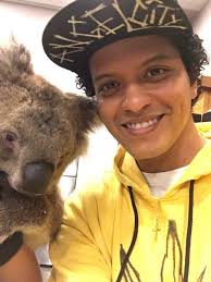 Pin By Utani On Favourite Guys Koala Bear Koala Bear