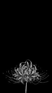 Use images for your pc, laptop or phone. 10 Wallpapers Hd Black Anime Baka Wallpaper