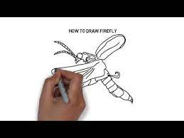 Use a u shaped line for the mouth and long curved lines for the antennae. How To Draw Firefly Youtube