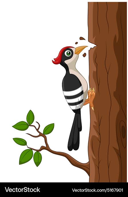Cute Woodpecker Cartoon Bird – Royalty-Free Vector | VectorStock