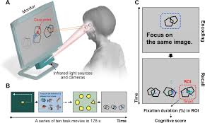 Image result for Mini-Cognitive Assessment Instrument