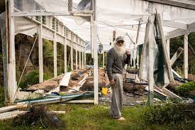 Medical Marijuana Grower: Gandalf