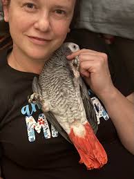 This baby is 2 weeks old and already full of disapproval for his fav  restaurant ( mom ) being away from him Jody Wright