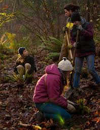 TWENTY YEARS OF LEADERSHIP