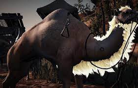 You will get x amount of shiny golden seals and half the horses market value in cash (sent to your thanks op. Bdo Fashion Camel Heavy Black Desert Online