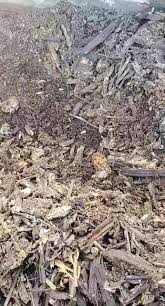 For new hampshire residents in the northern part of our state, there is no worry about termites. Central Termite Pest Control Home Facebook