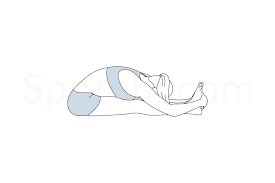 Seated Forward Bend Pose Paschimottanasana Yoga Postures Yoga For Flexibility Yoga Poses