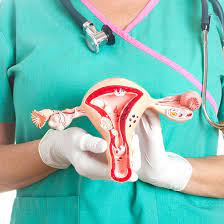 What Is A Pelvic Exam Procedure Pap Smear Speculum Results
