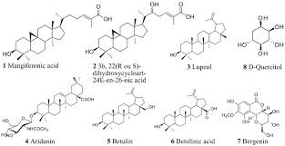 Image result for Antrocaryon