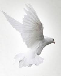 Mary Juanita Mielke Obituary August 22, 2020