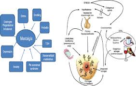 Image result for Mastalgia