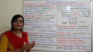 We did not find results for: Applications Of Plant Tissue Culture Hindi By Solution Pharmacy Youtube