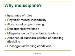 By definition, interdisciplinary study draws insights from relevant disciplines and integrates those insights into a more comprehensive understanding. Disciplinary Action Madhu T K Why Indiscipline N