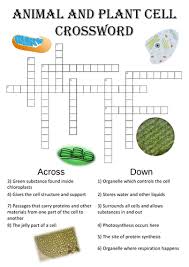 We did not find results for: Biology Crossword Puzzle Animal And Plant Cell Structure Teaching Resources