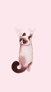 1000 Ideas About Iphone Wallpaper Cat On Pinterest Iphone Regarding Tumblr Iphone Wallpape Cat Phone Wallpaper Iphone Wallpaper Cat Iphone Wallpaper Hipster