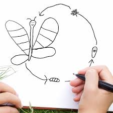 Flowers, followed by 400 people on pinterest. A Child S Drawings Turned Into Realistic Imaginings Of Animals Cars And People Colossal