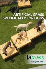 Dog Table Dog Playground Dog Boarding Facility K9 Grass