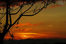 Akhirnya, inilah salah satu primrose senja. Wallpaper Sunlight Landscape Sunset Nature Interior Silhouette Branch Sunrise Calm Evening Sun Horizon Time Atmosphere Dusk Astronomy Sol Sunday Cloud Tree Dawn Photo Show Places Lindo Fotografia Surrealism Imagen Tarde