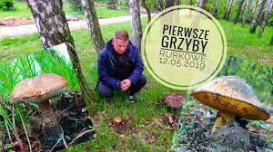 Jan brzechwa, a właściwie jan wiktor lesman urodził się 15 sierpnia 1898 roku w żmerynce na ukrainie, zmarł zaś 2 lipca 1966 roku w warszawie. Pierwsze Grzyby Rurkowe W Maju Youtube