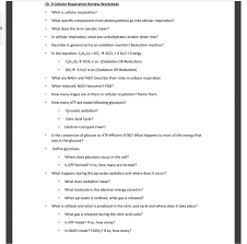 Subtracting polynomials coloring worksheet answers, adding and subtracting polynomials worksheet math aids answers, atomic structure worksheet answers pdf, atomic structure periodic table worksheet. Solved Ch 9 Cellular Respiration Review Worksheet What Chegg Com