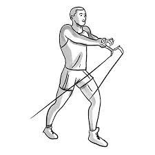 With your elbows slightly bent and the palms of your hands facing in and up pull the handles together in the middle of. Wgbj 1 Workout 43 Habit Nest