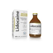 List of richmond laboratorios products: Lidocaine Richmond Vet Pharma