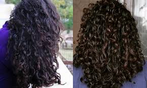 To make this hair conditioner, you simply need to have eggs, olive oil, nectar, vinegar, and lemon juice close by. The Curious Column Mrinalini S Top 5 Diy Hair Masks For Healthy Curls The Curious Jalebi