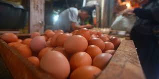 Maybe you would like to learn more about one of these? Kementan Harga Telur Akan Turun Karena Masalah Jagung Sudah Selesai Merdeka Com