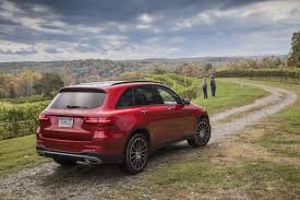 Image result for Hyacinth Red 2016 GL