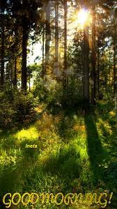 We did not find results for: Download Beautiful Good Morning In Nature Gif Png Gif Base Nature Gif Beautiful Morning Pictures Good Morning Love Gif