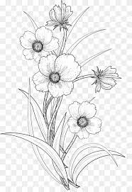 Flower line drawing by jacksonmstattoo on deviantart. Flower Line Drawing Png Images Pngwing