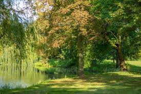 High dynamic range, hdr, high resolution, skydome panorama for use as a spherical environment in 3d scenes. Mw3dhdr0031 Nature Hdri Scene In A German Park Nature Scene Rhineland