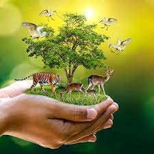 The main purpose of celebrating world nature conservation day is to conserve the animals, animals and trees that are extinct from the natural environment of the earth. When Is World Nature Conservation Day Meaning Theme Importance