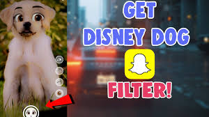 The latest filter makes your dog look like a disney character with those big doe eyes. How To Get Disney Cartoon Eyes Filter Tiktok And Snapchat And Instagram Disneyfies Snapchat Salu Network