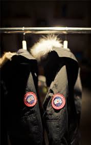 Shooting cats australia s war on feral cats. What S Behind The Success Of Canada Goose Bu Today Boston University