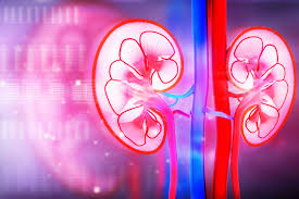 When cancer starts in the kidney, it is called kidney and renal pelvis cancer. Kidney Cancer Awareness Month Highlighting Our Open Access Kidney Cancer Research On Medicine