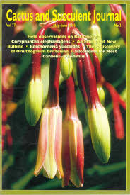 Image result for Beschorneria sp. (Biegel 5357)