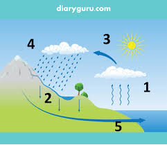 Contoh butir soal c1 s d c6 blognya bang fajar. Contoh Soal C1 Sampai C6 Untuk Sd Diary Guru