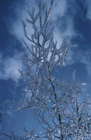 نتیجه جستجوی لغت [crystallized] در گوگل