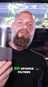 Are sponge filters any good? #fishtank #fishkeeping #aquarium